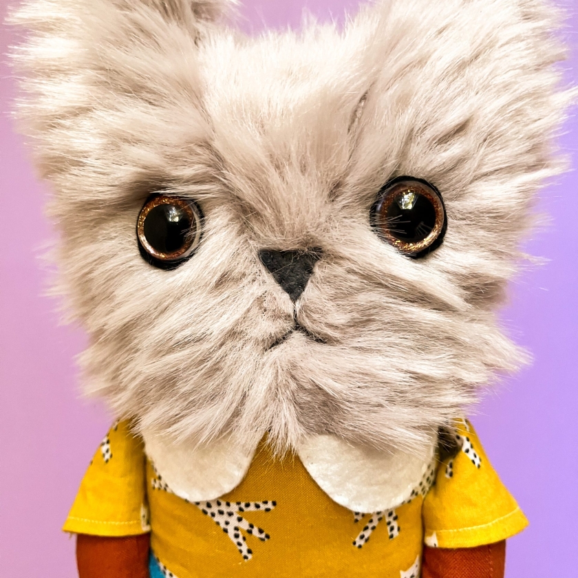 Little Gray Kitty - Cat Ragdoll