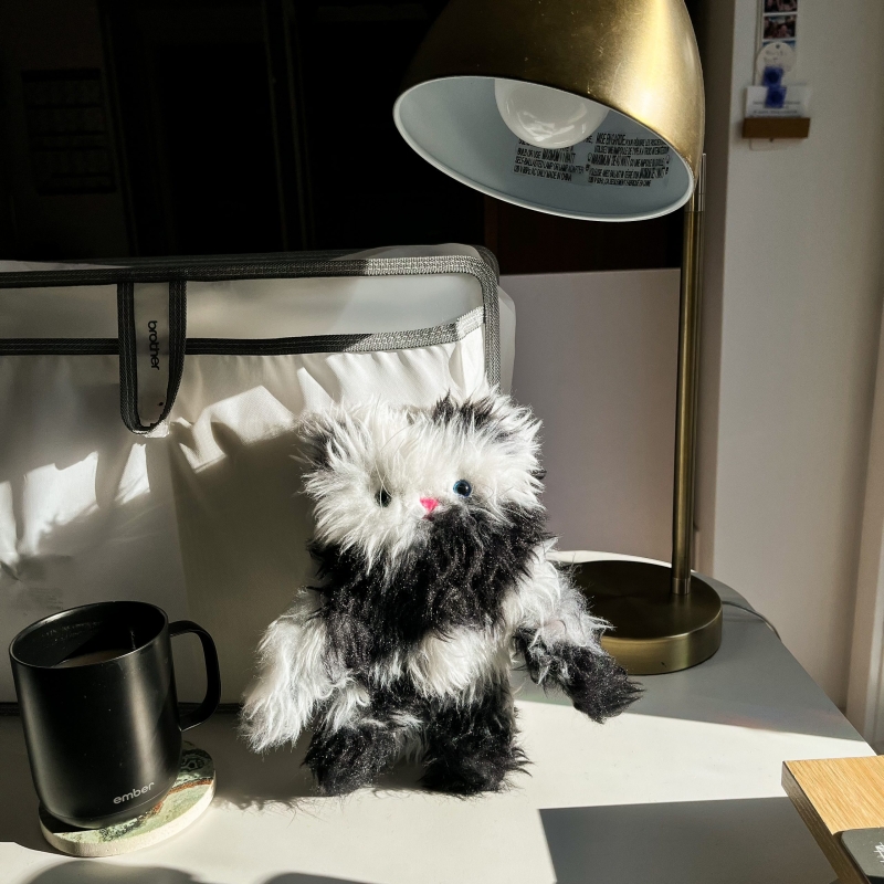 Sergio - Upstanding Mini Chonk Cat Doll - Image 5