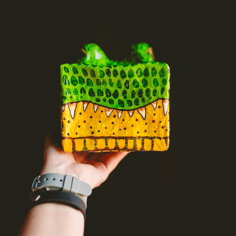 Steve - Actually an Alligator, Not a Crocodile - Image 4