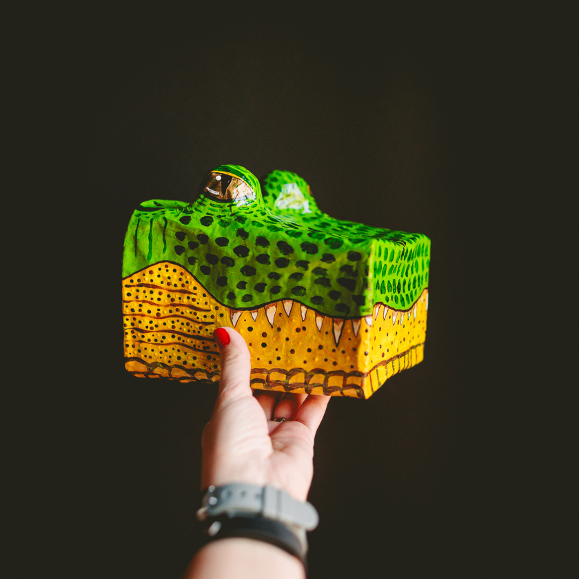 Steve - Actually an Alligator, Not a Crocodile