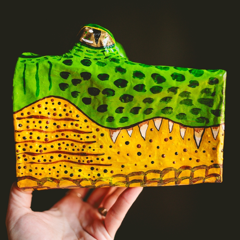 Steve - Actually an Alligator, Not a Crocodile - Image 2