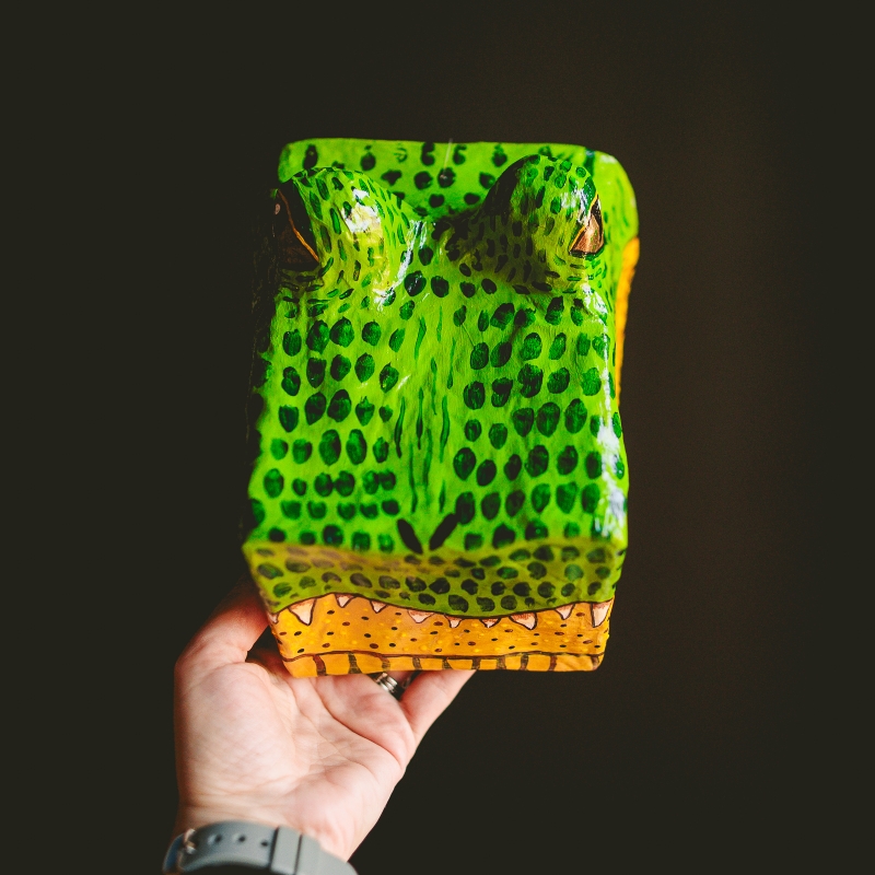 Steve - Actually an Alligator, Not a Crocodile - Image 5
