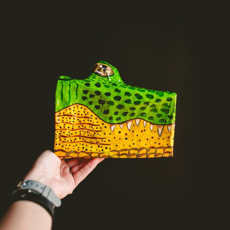 Steve - Actually an Alligator, Not a Crocodile - Image 7