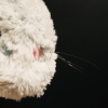 Dwayne - Paper Mache Faux Fur Wall Sculpture - Image 13