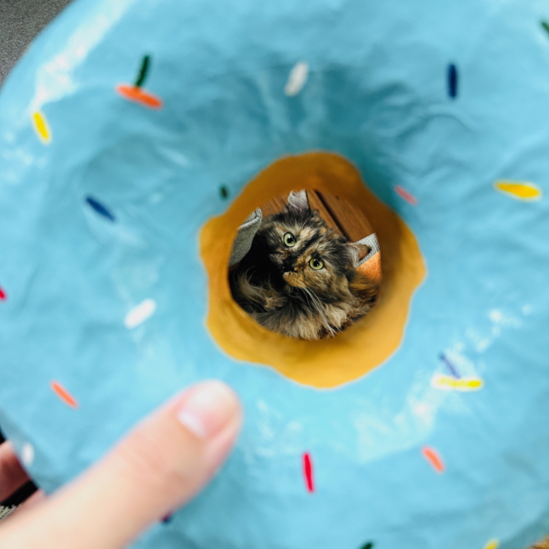 The Blue Donut - Paper Mache Wall Hanging - Image 5